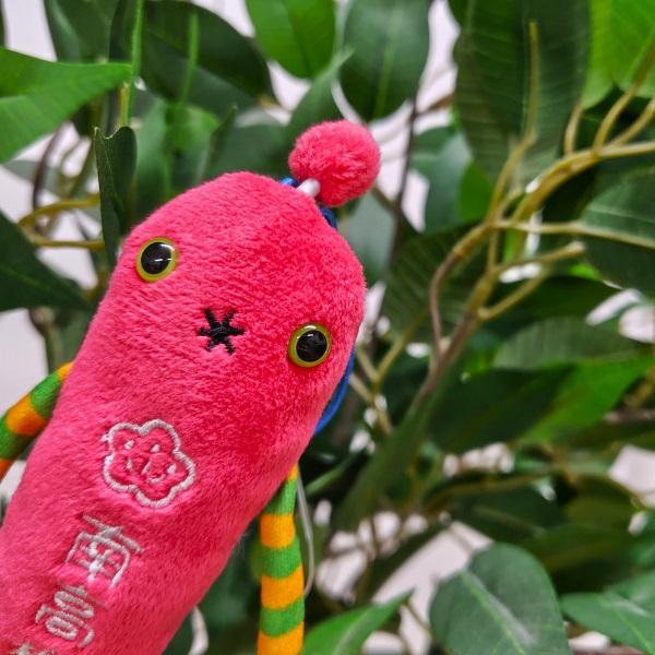 ご当地 モケケ ぬいぐるみ マスコット（和歌山・南高梅） ストラップ