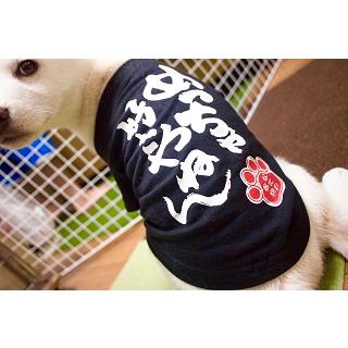 大阪弁 わんこｔシャツ L 犬の服 Dog 小型犬 トイプードル マルチーズ シーズー 豆柴 大阪 お土産 ドッグウェア ペット商品 犬用品 映え服 お散歩 おみやげ処いちびり庵 通販 Yahoo ショッピング