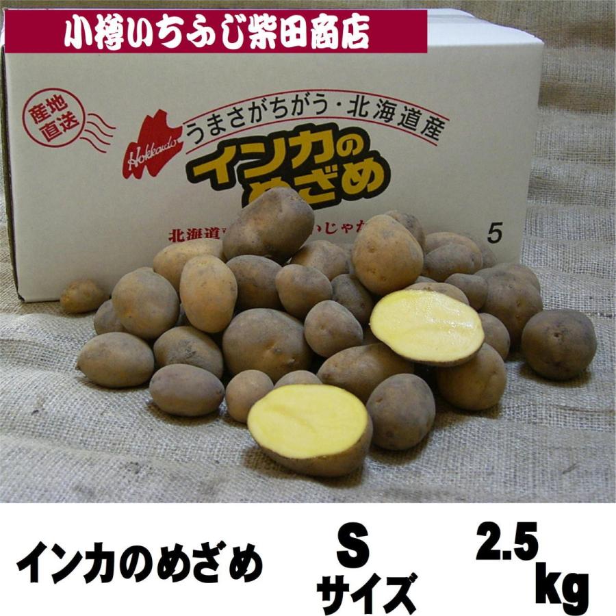 インカのめざめ Sサイズ 2.5kg箱 北海道産 P01 : 小樽 いちふじ柴田