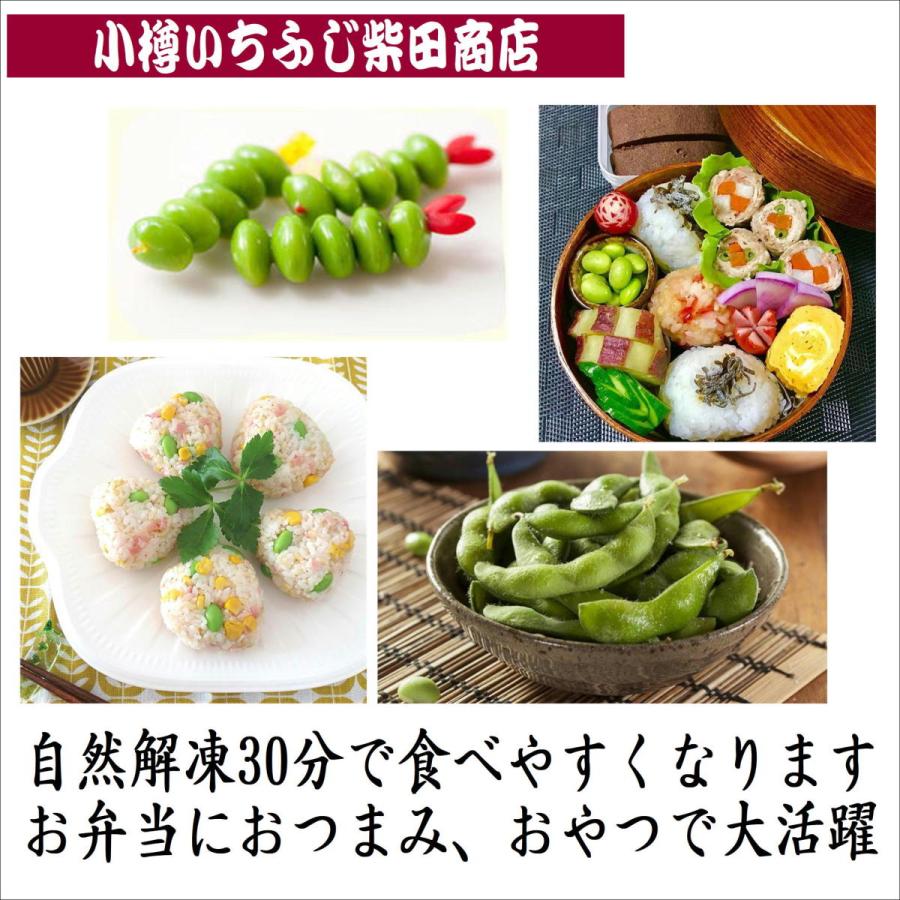 E11 300g袋 3種類 各2袋 冷凍 枝豆3種食べ比べセット 北海道中札内村産 1袋300g入 おつまみ 冷凍野菜 国産 便利 楽ちん おかず お弁当 E11 小樽 いちふじ柴田商店 通販 Yahoo ショッピング