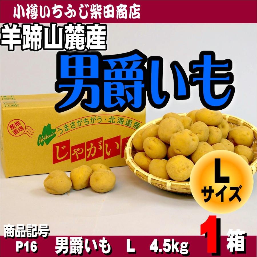 男爵いも Lサイズ 4.5kg箱 北海道羊蹄山麓産 P16 : 小樽 いちふじ柴田
