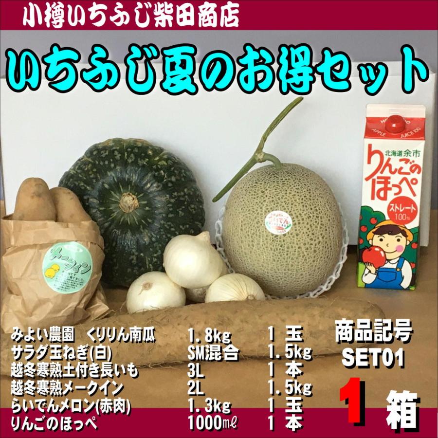 Set01 いちふじ夏のお得セット めーくいん 南瓜 白玉ねぎ メロン りんごのほっぺ 完全送料無料 長いも