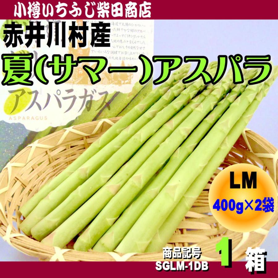 夏アスパラ グリーンアスパラ M〜Lサイズ 400g×2袋 化粧箱 北海道産