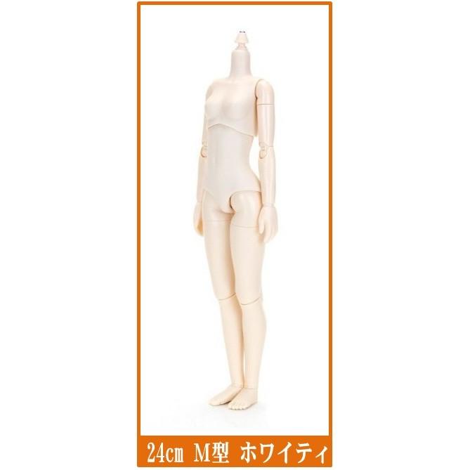 オビツボディ 24cm ホワイティ M胸 正規品 オビツドール 可動 オビツボディ 24cm ホワイティ M胸 正規品 オビツドール 可動