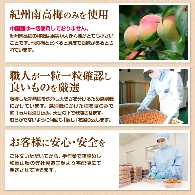 梅の一冨士 梅干し アップル梅 塩分3％ 1kg 南高梅 減塩 一冨士 紀州南 