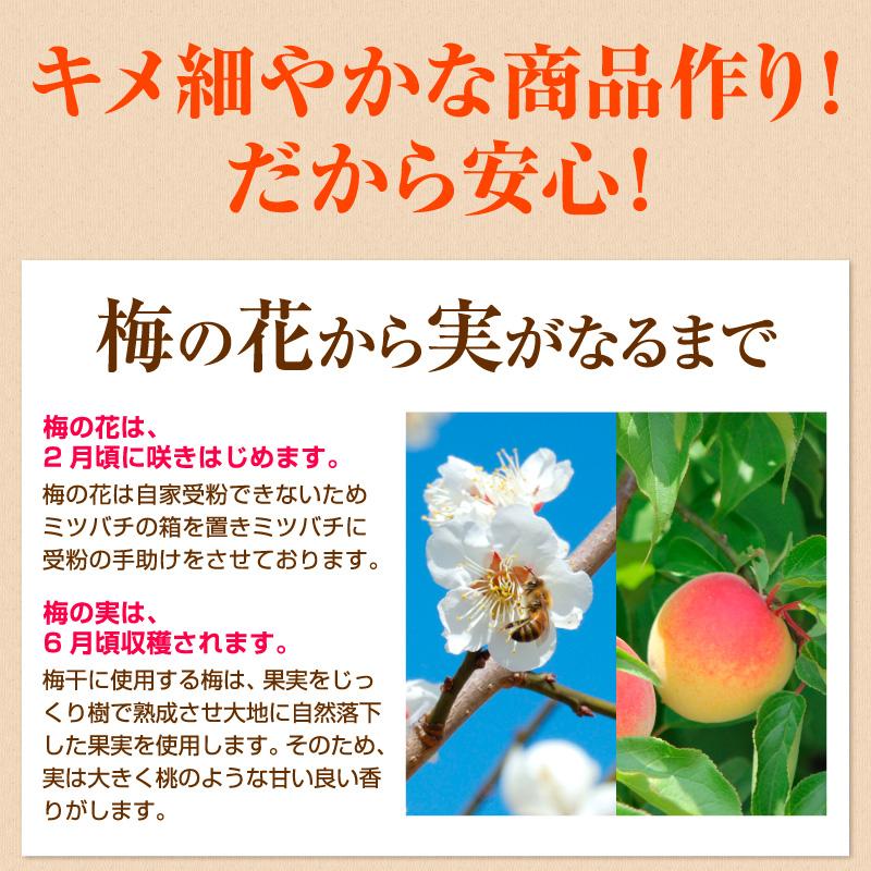 梅干し ハバネロ梅 塩分3％ 800g お取り寄せグルメ 産地直送 和歌山県産 紀州南高梅 梅干 うめぼし 減塩 低塩分 辛い｜ichifuji-wakayama｜06