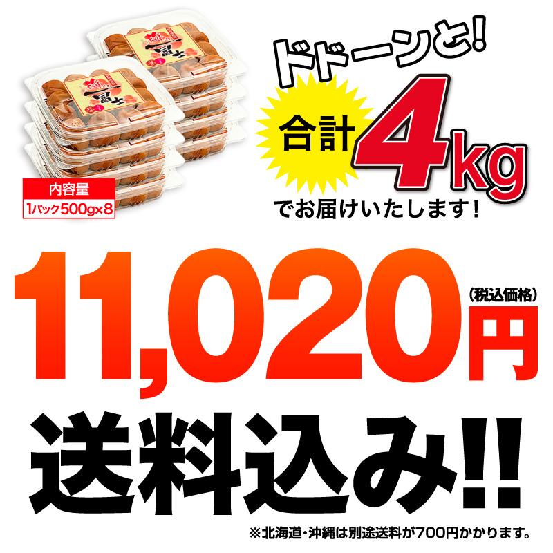 梅干し お徳用セット 4kg(500g×8)  お取り寄せグルメ 産地直送 和歌山県産 紀州南高梅 梅干 うめぼし 減塩 はちみつ梅 しそ梅 組み合わせ自由｜ichifuji-wakayama｜04