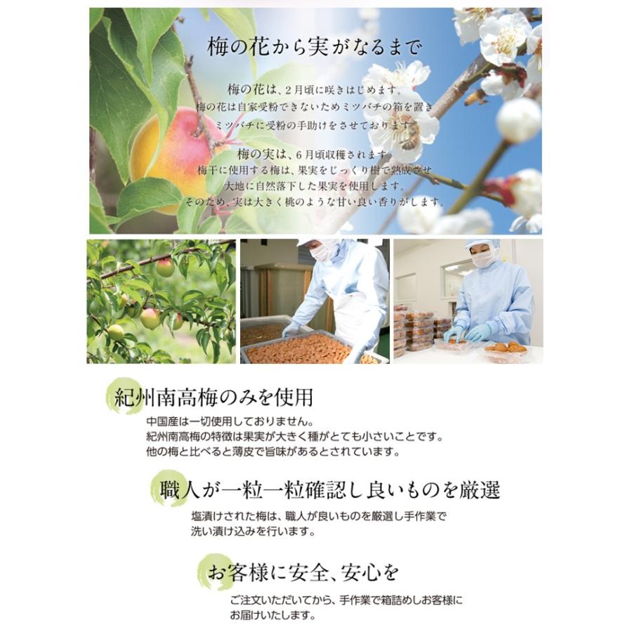 梅干し お徳用セット 4kg(500g×8) お取り寄せグルメ 産地直送 和歌山県産 紀州南高梅 梅干 うめぼし 減塩 はちみつ梅 しそ梅 組み合わせ自由 :OTOKUYOUSET-4000:一冨士 Yahoo!店 - 通販 - Yahoo!ショッピング 梅干し お徳用セット 4kg(500g×8) お取り寄せグルメ 産地直送 和歌山県産 紀州南高梅 梅干 うめぼし 減塩 はちみつ梅 しそ梅 組み合わせ自由 :OTOKUYOUSET-4000:一冨士 Yahoo!店 - 通販 - Yahoo!ショッピング