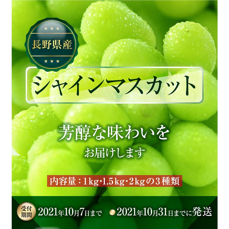 長野県産 シャインマスカット1kg 2 3房 種無し 皮ごと クリアランスsale 期間限定 数量限定 産地直送 クール便 ぶどう 予約商品