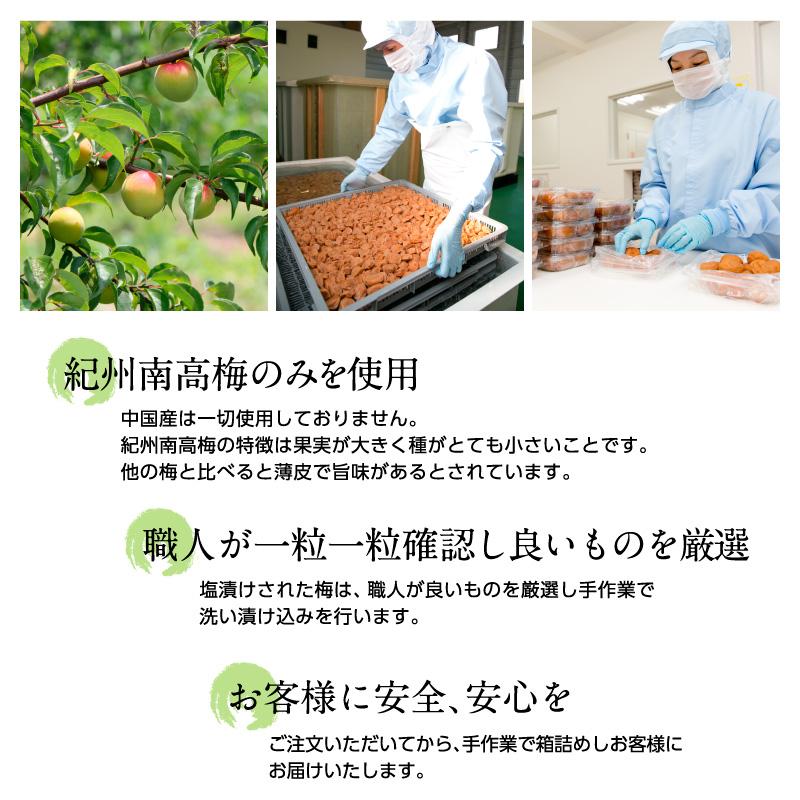 梅干し しそかつお梅 塩分8％ 500g お取り寄せグルメ 産地直送 和歌山県産 紀州南高梅 梅干 うめぼし しそかつお 紫蘇鰹｜ichifuji-wakayama｜06