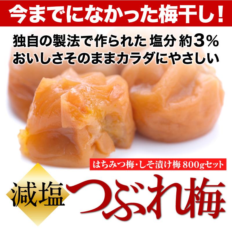 梅干し 訳あり 減塩つぶれ梅セット 塩分3％ 800g(400g×2) 和歌山県産 紀州南高梅 梅干 うめぼし 規格外品 はちみつ梅 しそ梅｜ichifuji-wakayama｜05