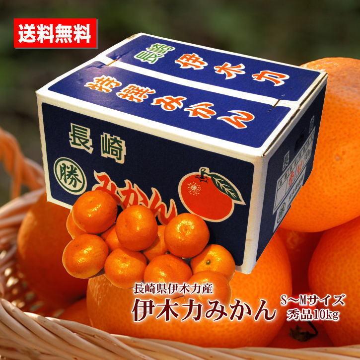 新品?正規品 伊木力系みかん♡ 規格外品 ♡ ゜゜ :.丸坂♡M♡10キロ ...