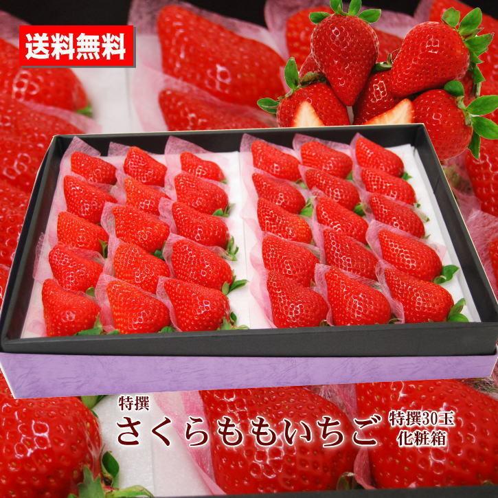 アウトレット 通販激安 いちご さくらももいちご 徳島産 特撰 30玉 化粧箱 ブランドいちご 高級 送料無料 贈答用 ご家庭用 プレゼント 手土産 お祝い クリスマス お歳暮 アウトレット商品 Www Superavila Com