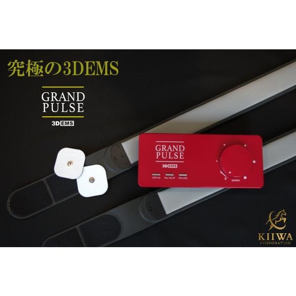 GRAND PULSE グランパルス 3DEMS : KIIWA SHOP - 通販 - Yahoo