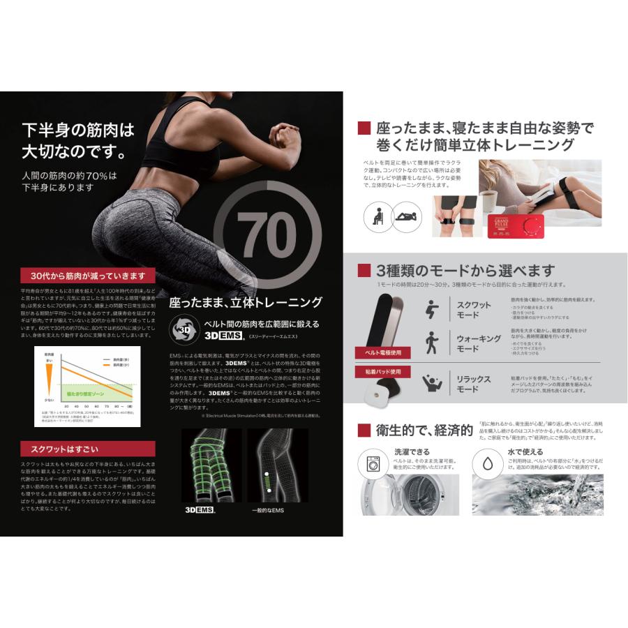 GRAND PULSE グランパルス 3DEMS : KIIWA SHOP - 通販 - Yahoo GRAND PULSE グランパルス 3DEMS : KIIWA SHOP - 通販 - Yahoo