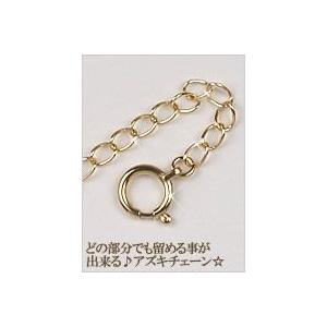 10金 イエローゴールド アジャスターチェーン 10k K10YG : いちご