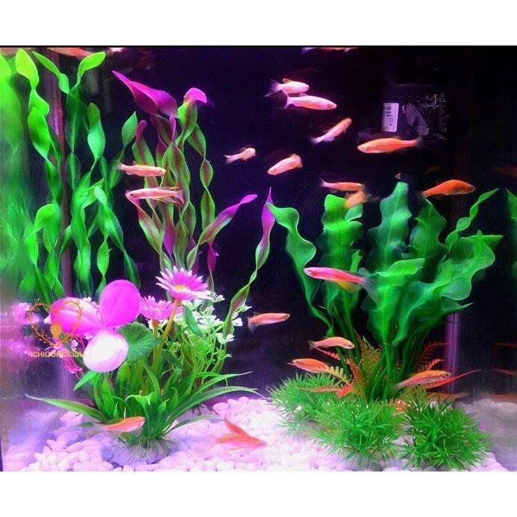 水槽 人工水草 セットの商品一覧 通販 Yahoo ショッピング