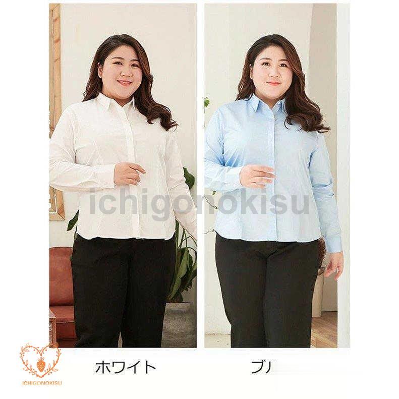yシャツ ワイシャツ ぽっちゃり レディース 立ち襟 通勤 事務服 yシャツ ワイシャツ ぽっちゃり レディース 立ち襟 通勤 事務服