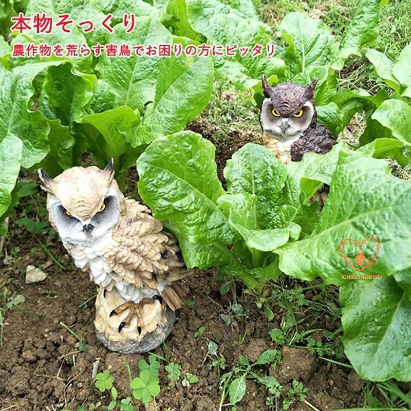 フクロウ 鳩よけ 鳥よけ 鳩 鳥対策 本物そっくり 樹脂 【防鳥防獣対策 オーナメント 装飾 ディスプレイ 風水 縁起 ガーデニング 庭 ガーデン ベランダ 屋外 装飾｜ichigonokisu｜02