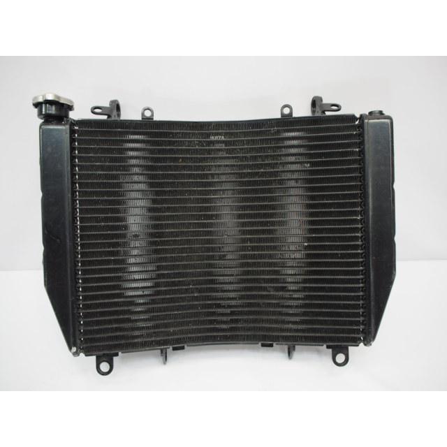 Rairai様　オーダーページ 絶版品 ZRX400用 オービック ラジエーターガード ブラック