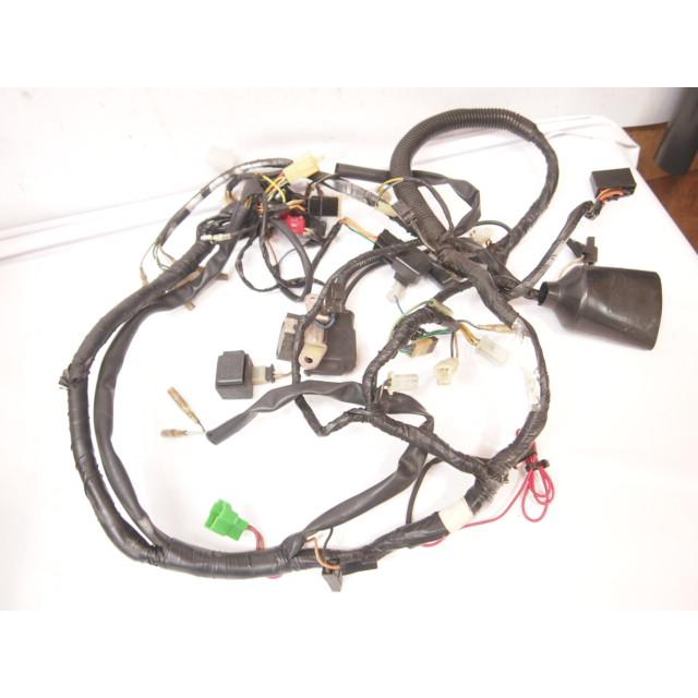 国内物 RG250 E 純正 メインハーネス 【公式通販】