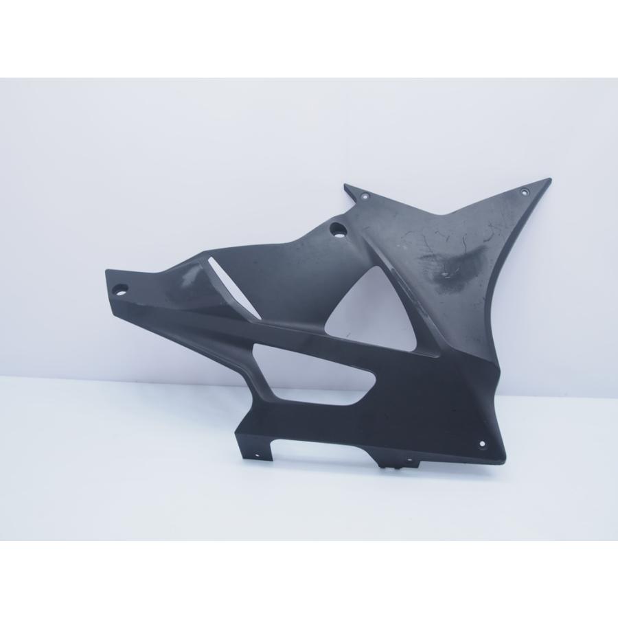 bmw s1000rr アンダーカウル bmw s1000rr アンダーカウル S1000RR アンダーカウル（ロング 触媒なし