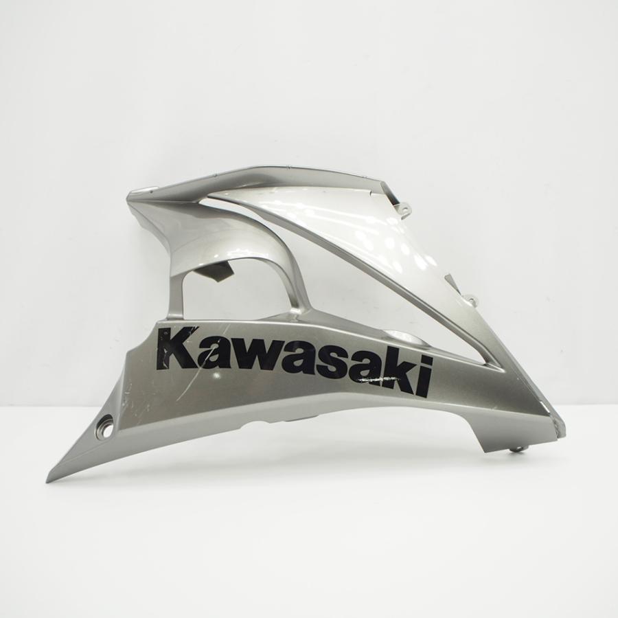 【2020〜2024】Ninja1000SX サイドカウル(グレー) 左側 KAWASAKI Ninja 1000SX「プチ整形？ サイドカウル交換」 | ウェビック