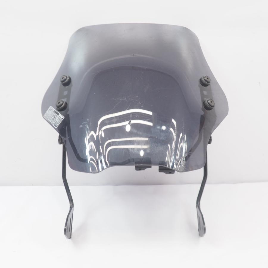 エリミネーターSE デイトナ ウインドシールドSS スクリーン バイザー