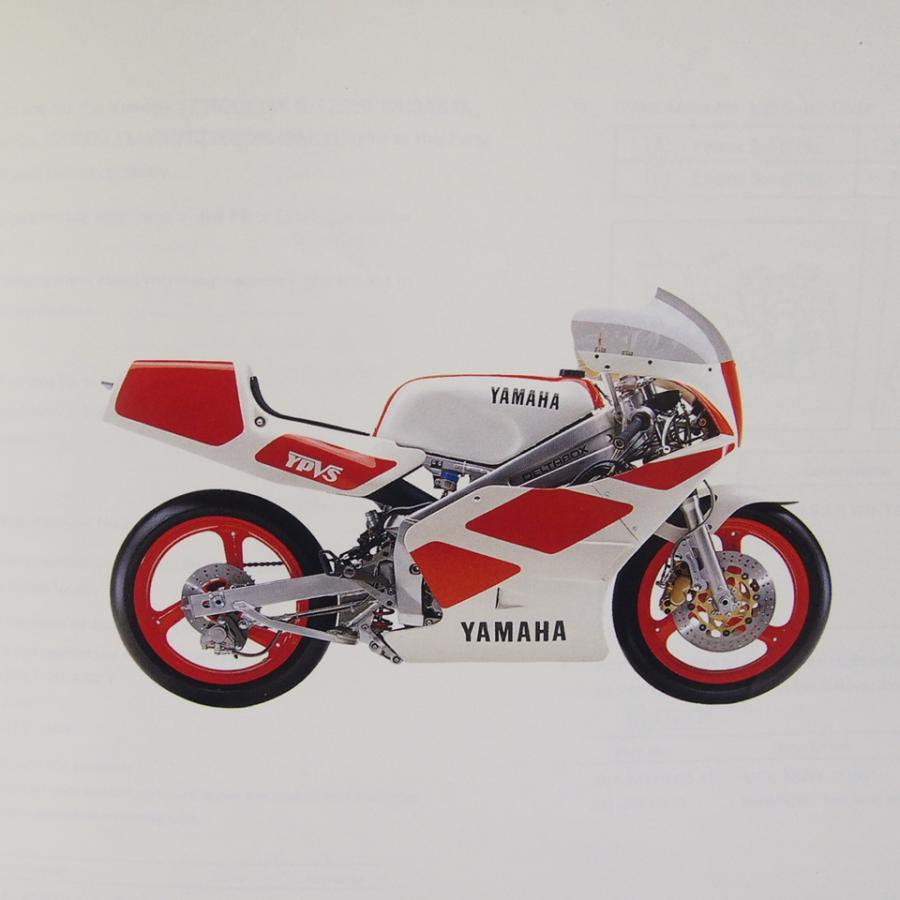 ネコポス送料無料TZ250U/TZ250/