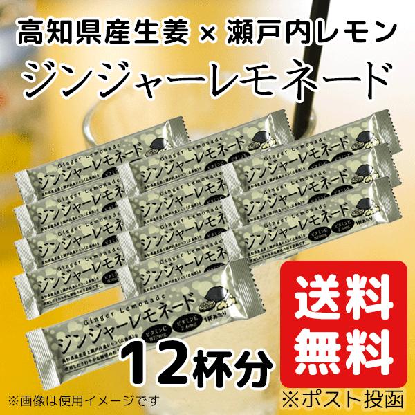 ジンジャー レモネード 12個セット 生姜 レモネード 送料無料｜ichijo