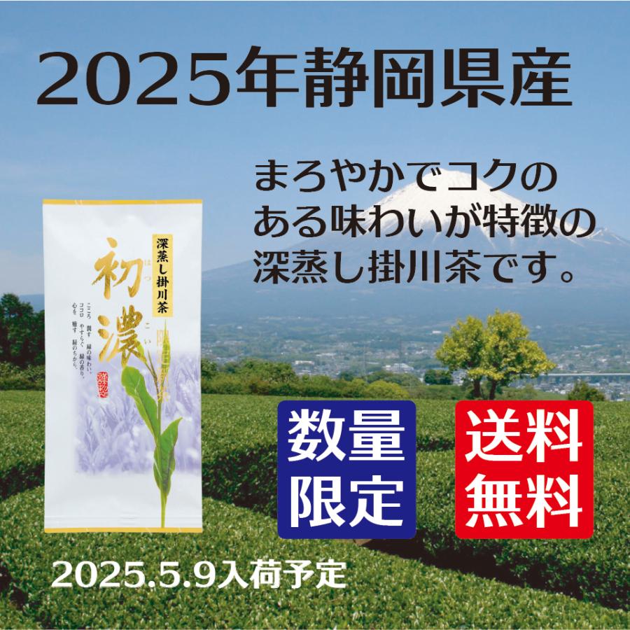 新茶 深むし 掛川茶 初濃 100g 静岡県産 深蒸し茶 2025年度 送料無料