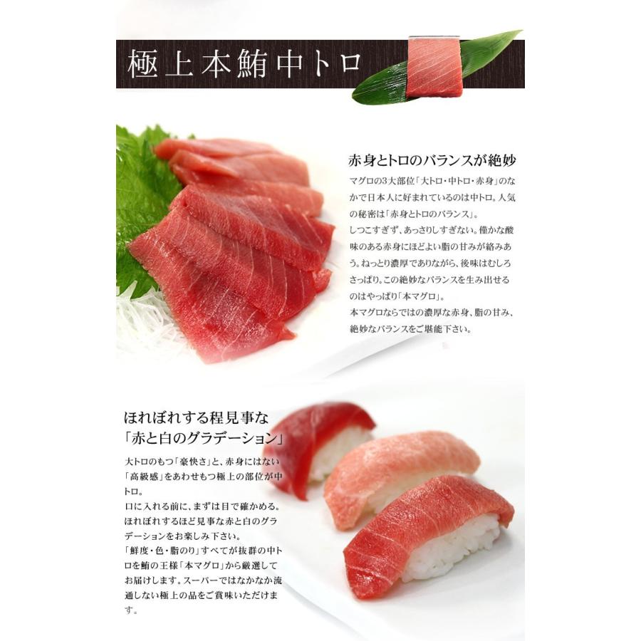 本マグロ 大トロ中トロセット 350g 送料無料 解凍レシピ付 刺身 食べ物