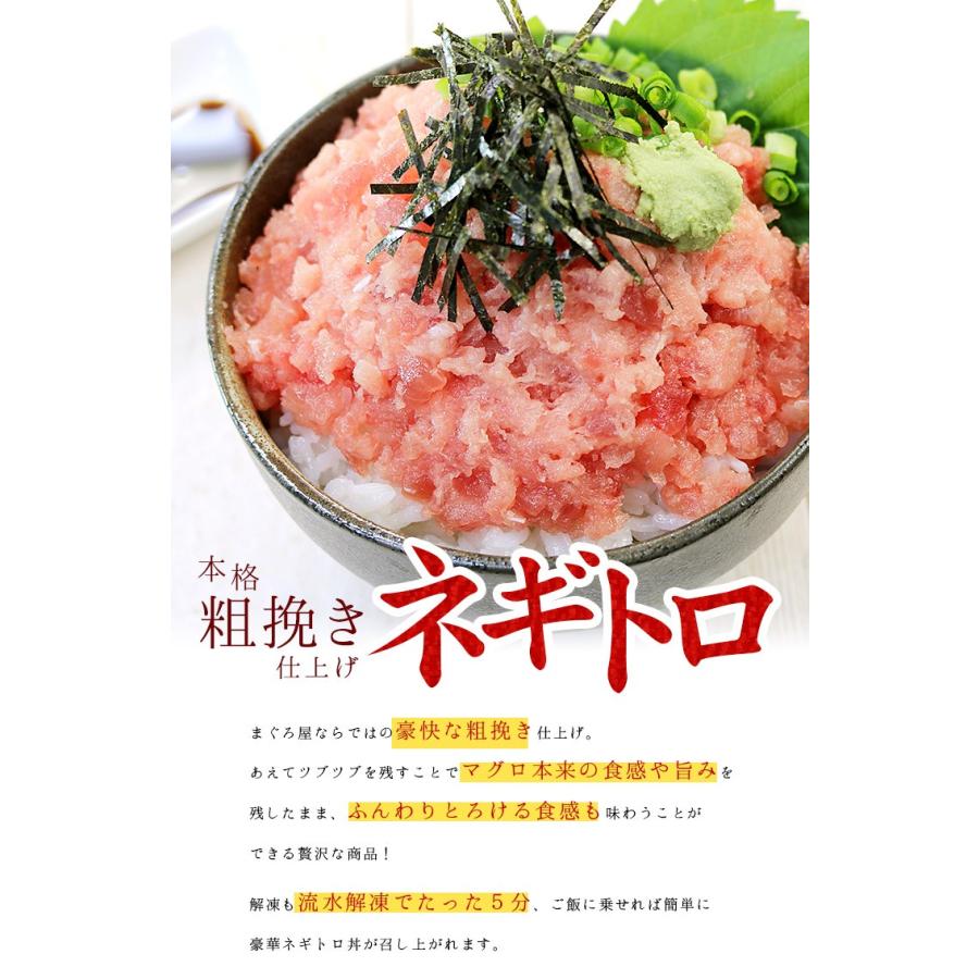 ネギトロ 天然マグロの粗挽きネギトロ500g（100g×5パック）刺身 海鮮《ref-nd1》〈nd1〉 yd5[[ネギトロ100g-5p]｜ichijyo｜04