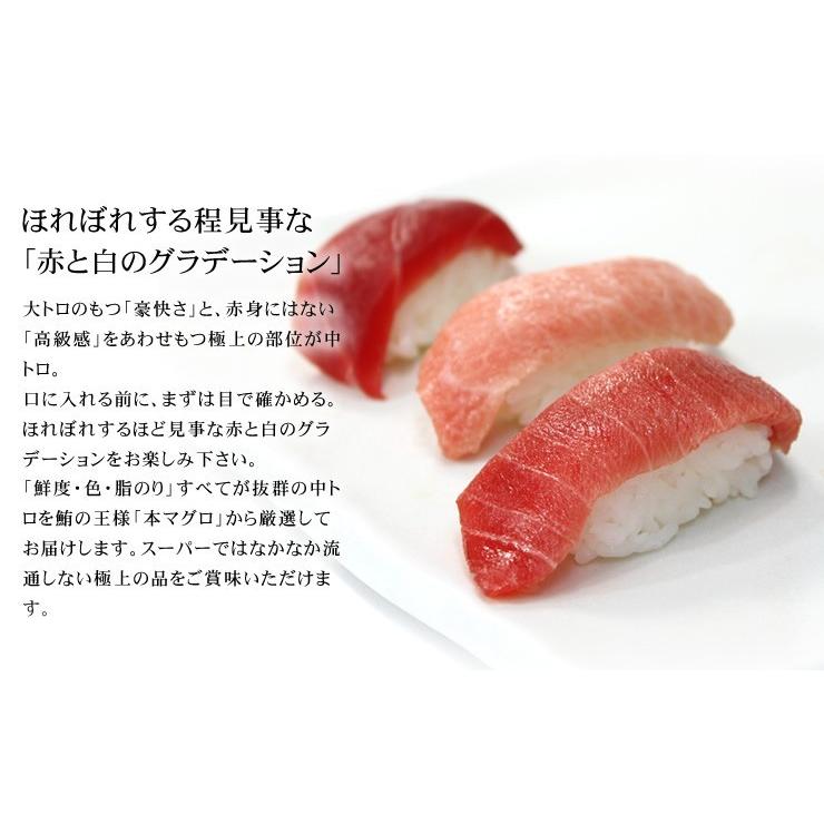 中トロページ① 本マグロ中トロ 1kg 送料無料 解凍レシピ付 刺身 海鮮 食べ物 メガ盛り