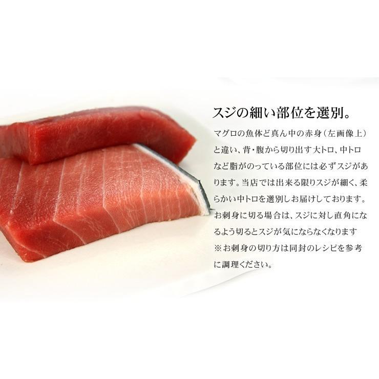 本マグロ中トロ 1kg 送料無料 解凍レシピ付 刺身 海鮮 食べ物 メガ盛り
