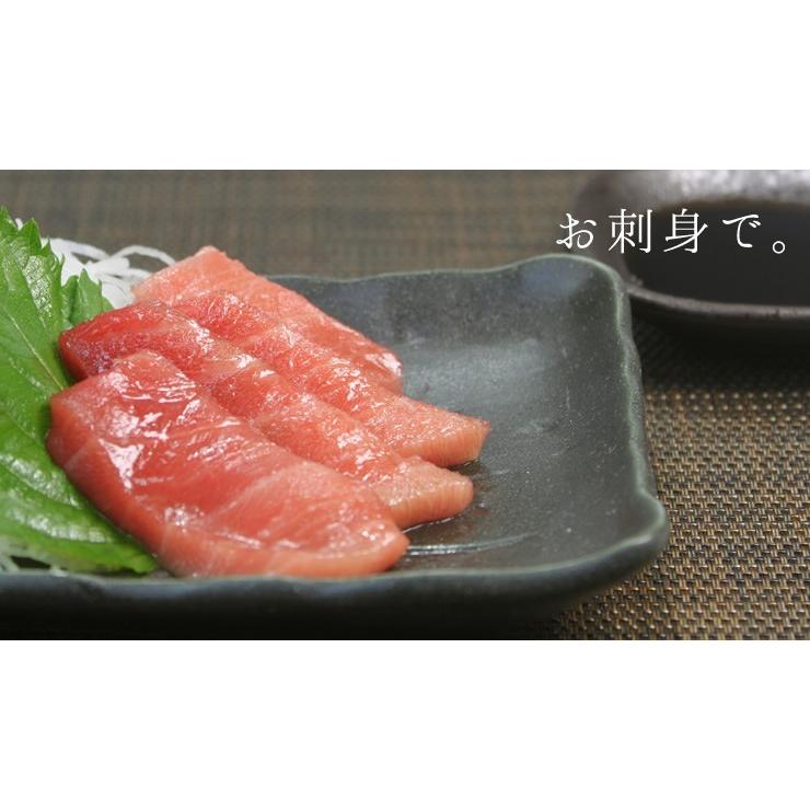 本マグロ中トロ 1kg 送料無料 解凍レシピ付 刺身 海鮮 食べ物 メガ盛り《pbt-bf14》〈bf1〉yd9[[本鮪中トロセット1kg]｜ichijyo｜07