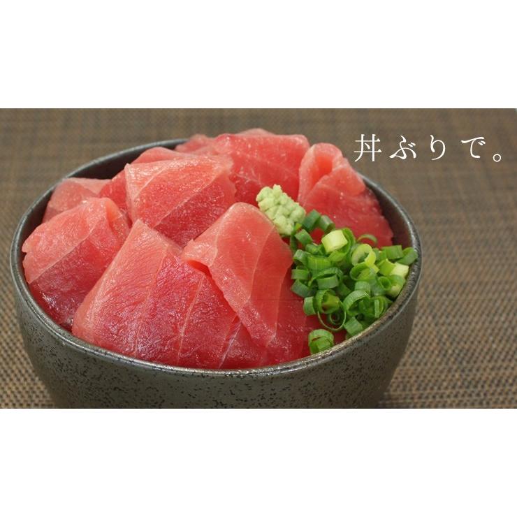 本マグロ中トロ 1kg 送料無料 解凍レシピ付 刺身 海鮮 食べ物 メガ盛り