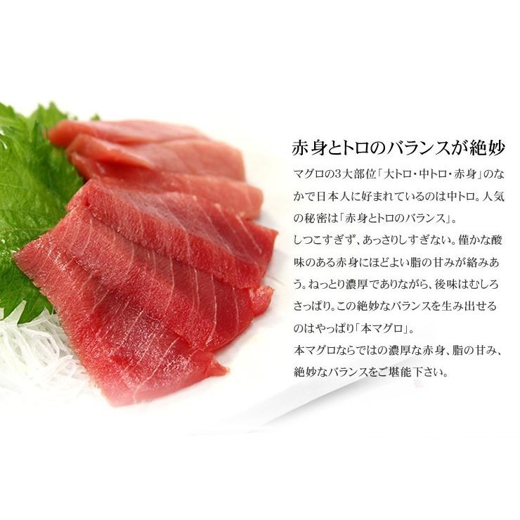 本マグロ中トロ 300g 送料無料 解凍レシピ付 刺身 海鮮 食べ物 爆買