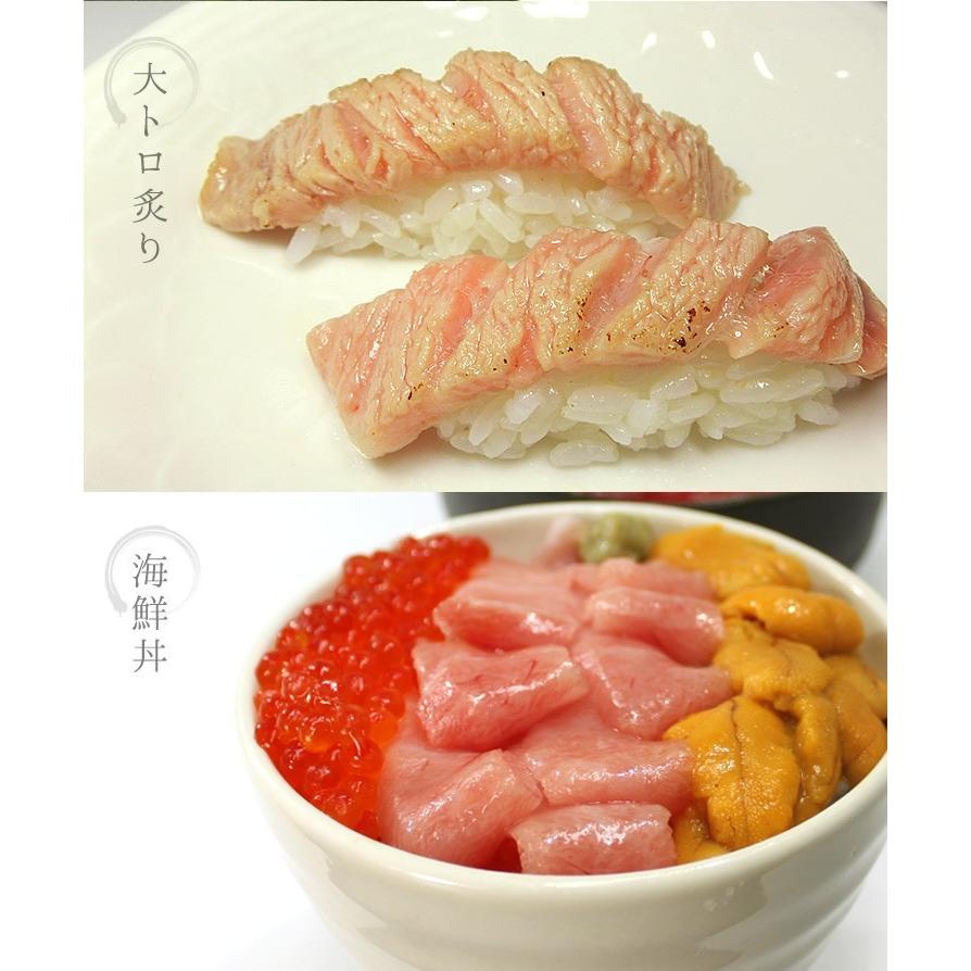 本マグロ 大トロ中トロ赤身セット500g 送料無料 解凍レシピ付 刺身