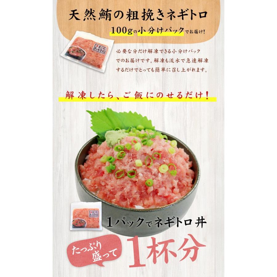 天然マグロの粗挽きネギトロ1kg 100g 10パック Ref Nd1 Nd1 Yd5 ネギトロ100g 10p まぐろ処一条 通販 Yahoo ショッピング