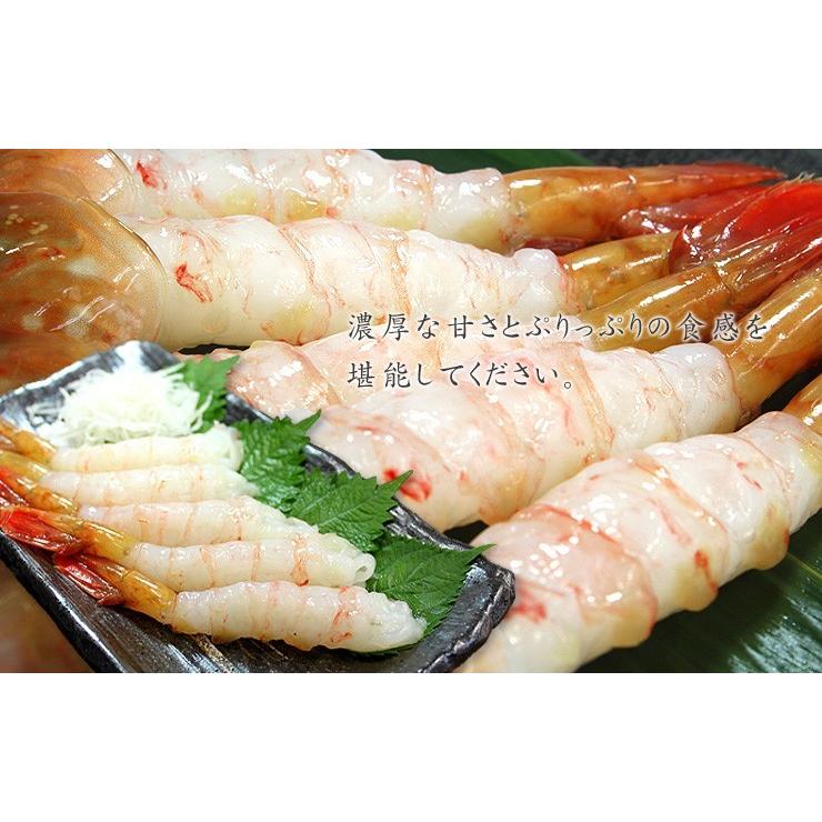 ボタンエビ 500gセット 超特大  9-12尾 送料無料 海鮮丼 刺身  om22[[ぼたんエビ500g]｜ichijyo｜03