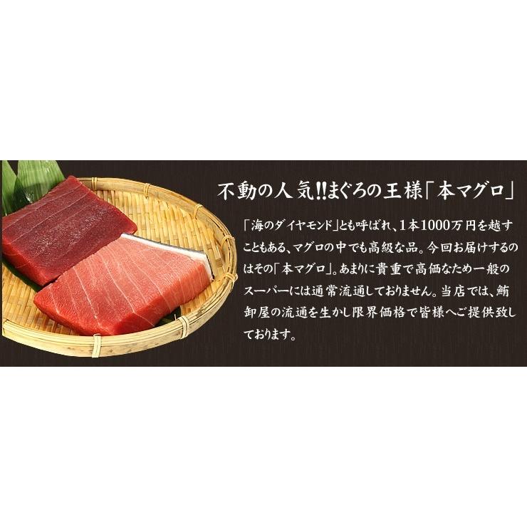 父の日 ギフト 本マグロ 中トロ赤身セット 320g 送料無料 解凍レシピ付