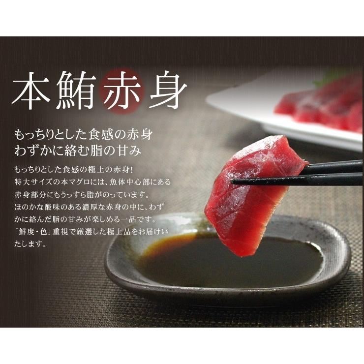 父の日 ギフト 本マグロ 中トロ赤身セット 320g 送料無料 解凍レシピ付