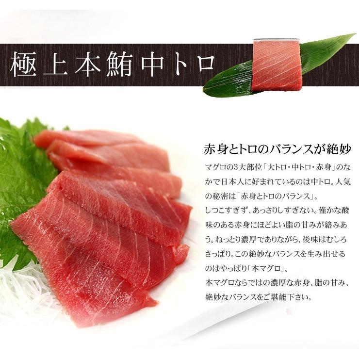 本マグロ 大トロ中トロ赤身セット1kg 送料無料 解凍レシピ付 刺身