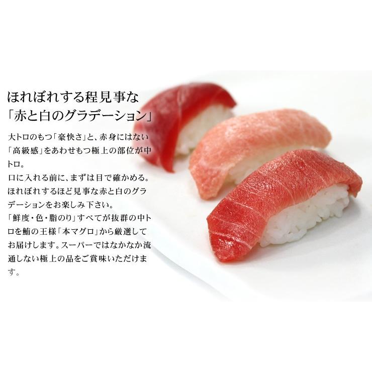 本マグロ 大トロ中トロ赤身セット1kg 送料無料 解凍レシピ付 刺身