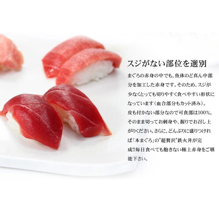 本マグロ 大トロ中トロ赤身セット1kg 送料無料 解凍レシピ付 刺身