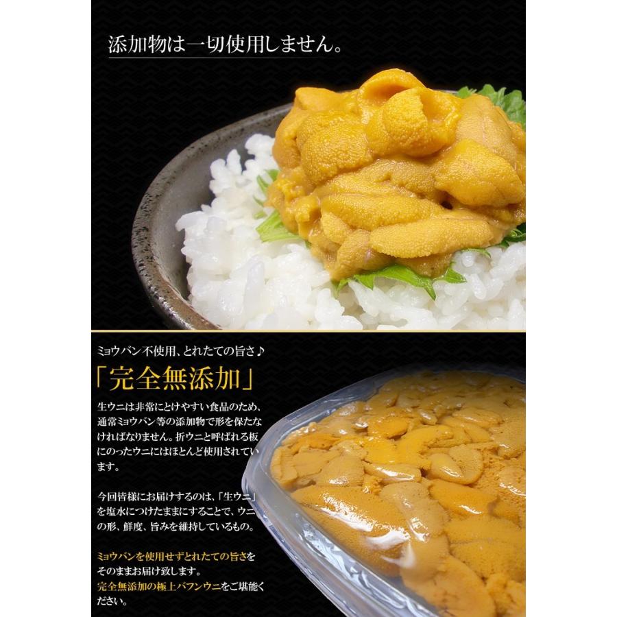 送料無料 北海道知床羅臼の天然エゾバフンウニ0g 無添加塩水パック 予約販売 同梱不可 お届け日指定不可 代引 銀振不可 羅臼ウニ100g 2p 2p まぐろ処一条 通販 Yahoo ショッピング