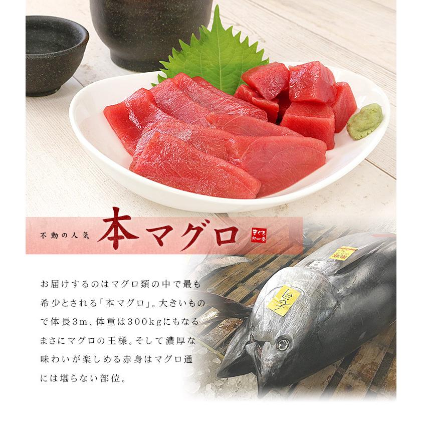 本マグロ 訳あり赤身700g まぐろ 刺身 送料無料 爆買《pbt-bf20》〈bf1