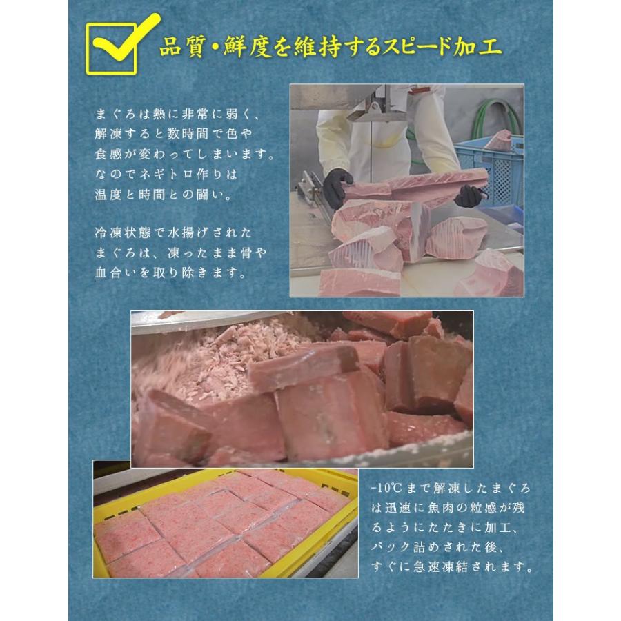 ネギトロ マグロ ネギトロ100g×2パック 粗挽き ねぎとろ 送料無料 海鮮 刺身 ポイント利用 爆買 超PayPay祭《ref-nd1》〈nd1〉[[ネギトロ100g-2p] |  | 10