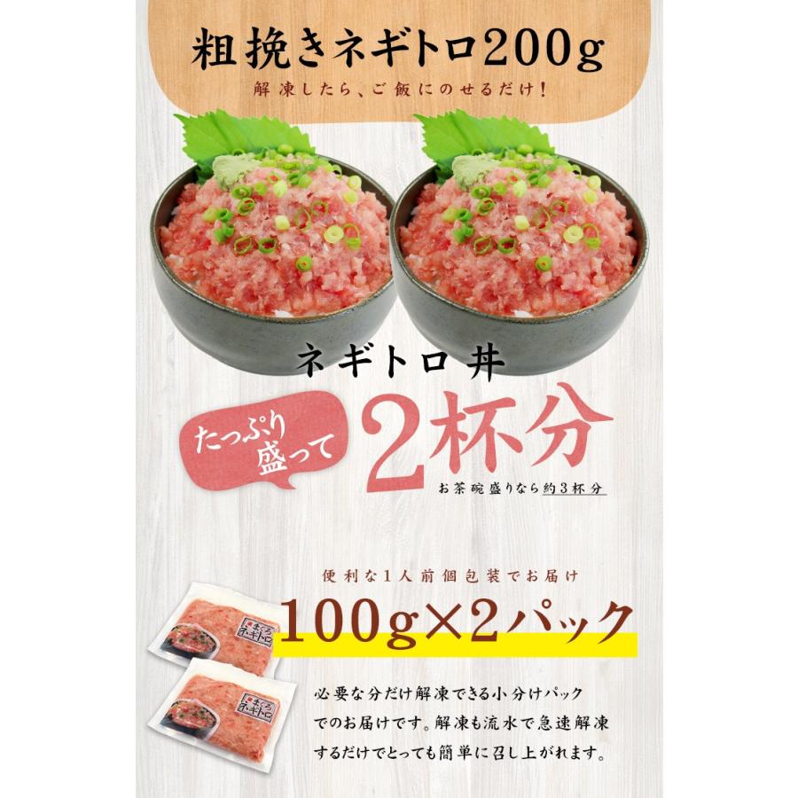 ネギトロ マグロ ネギトロ100g×2パック 粗挽き ねぎとろ 送料